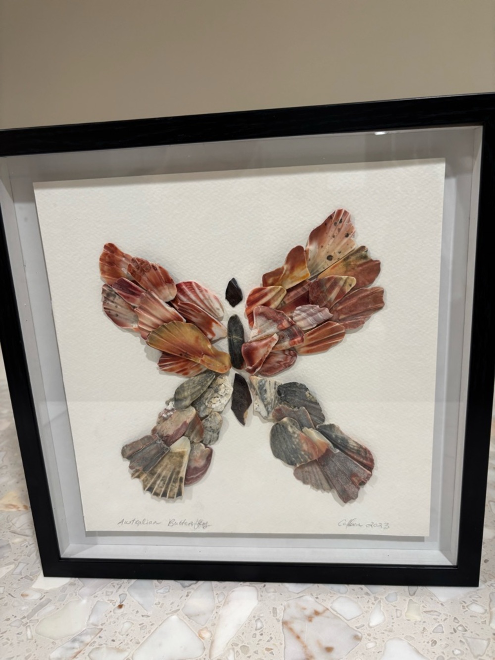 Handcrafted Framed 'Australian Butterfly' Natural Sea Shell Artwork 12”x12”